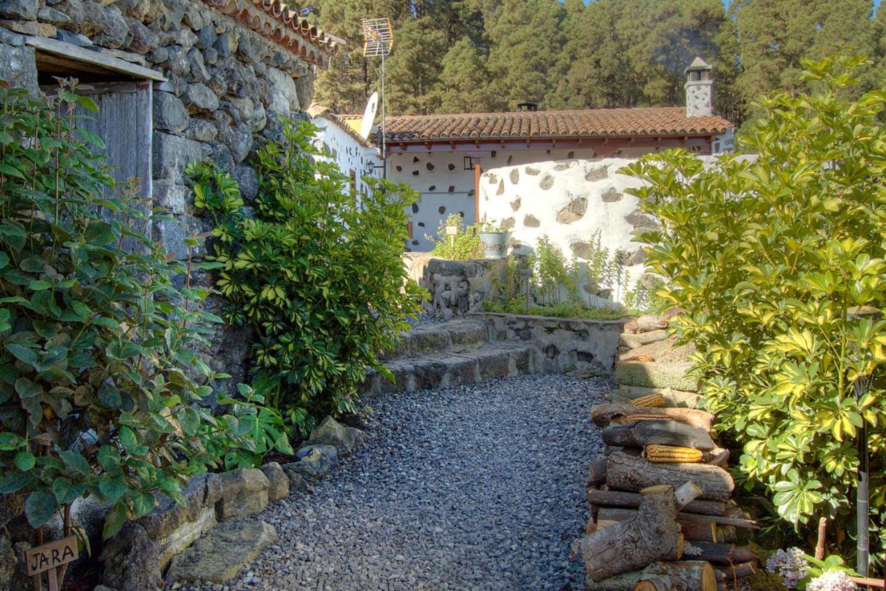 Holidaynorthtenerife Casa Rural Montiel Icod De Los Vinos Buitenkant foto