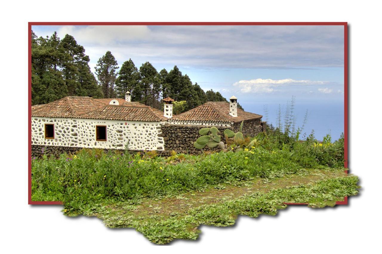 Holidaynorthtenerife Casa Rural Montiel Icod De Los Vinos Buitenkant foto